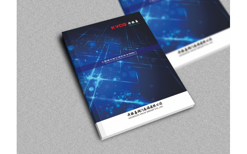 中国开维喜阀门