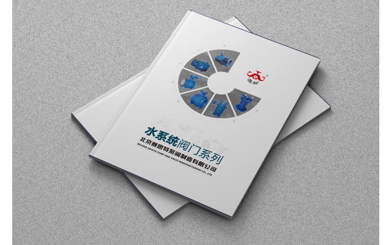 赛思特